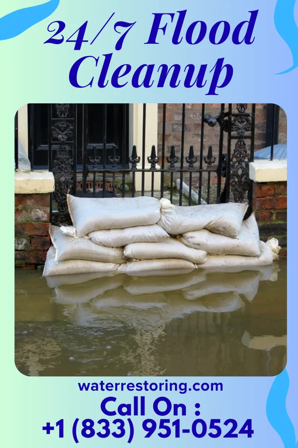 24/7 Flood Cleanup in Taylor Creek, FL
